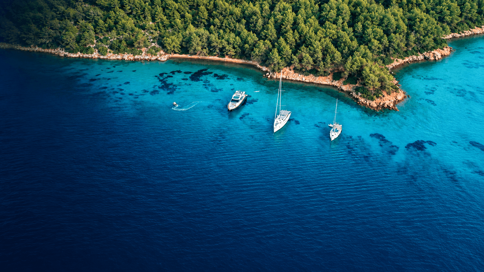 Aerial view of white yachts anchored in a turquoise cove beside a pine-covered coastline